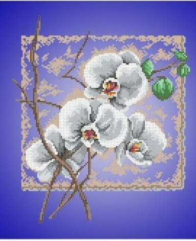 Г-5012 Орхидея