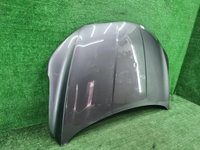 Капот Geely Coolray (2019-2023)