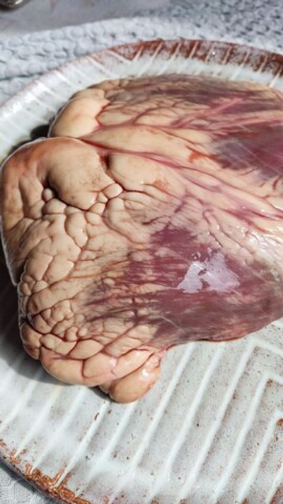 Сердце говяжье