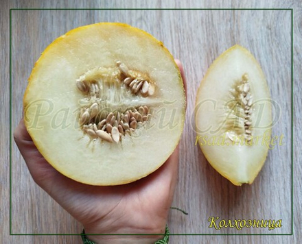 Дыня Колхозница/Сем Алт/цп 1 гр.