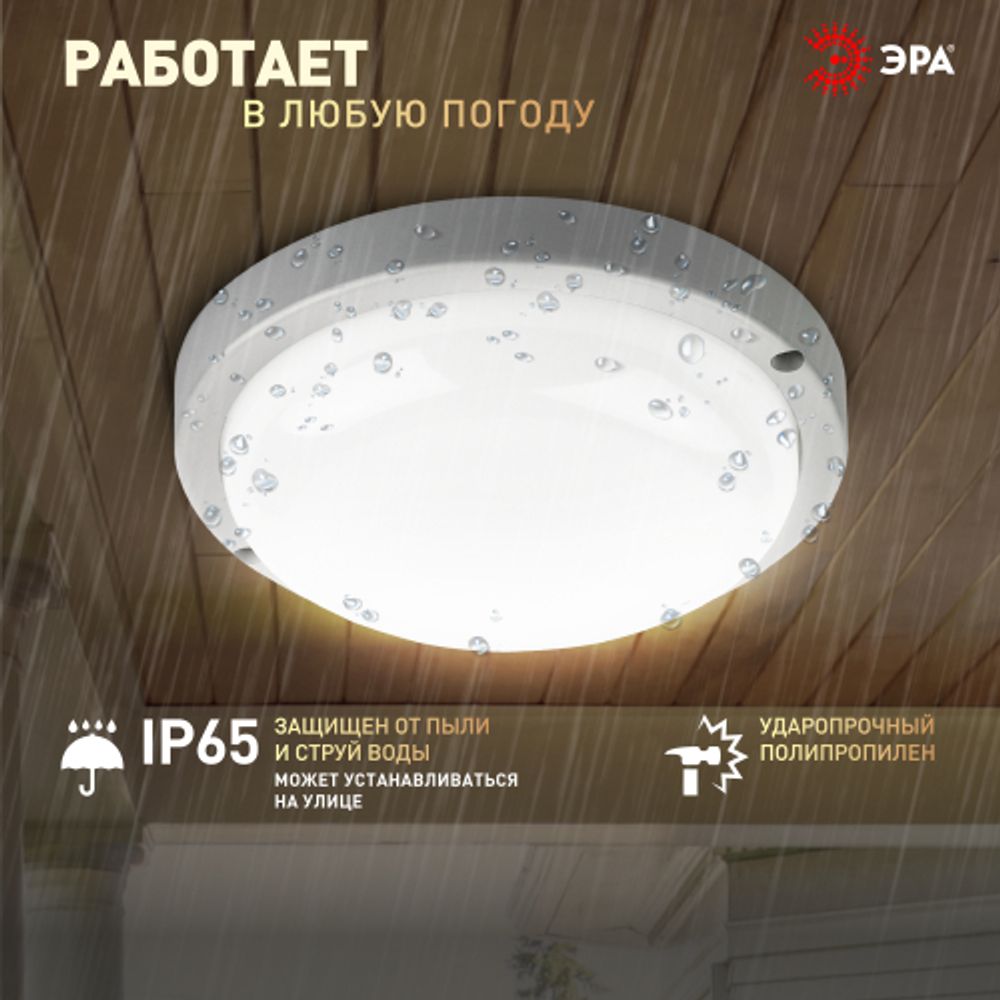 Светильник ЖКХ светодиодный ЭРА SPB-201-0-40K-018 IP65 18Вт 4000К D185 круг | Светильники для ЖКХ IP65