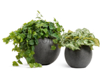 Кашпо TREEZ Effectory Stone Большая полусфера Тёмно-серый камень д-40 см, в-32 см 41.3319-01-025-GR-40