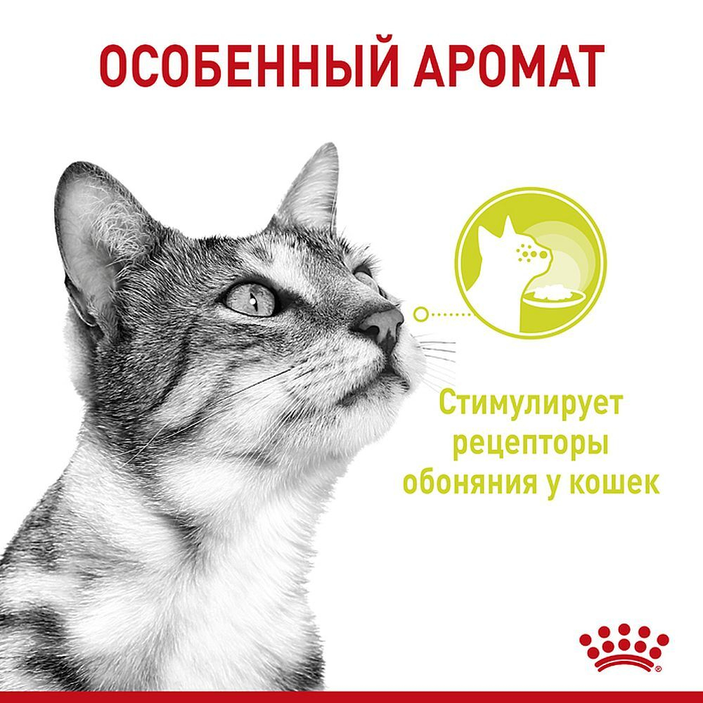 Royal Canin 85г Sensory Smell (запах) пауч для кошек кусочки в соусе