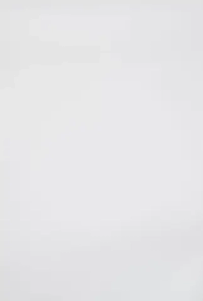 САВАШ Плинтус 2070, 1 шт.