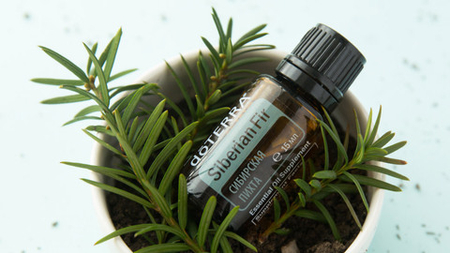 Эфирное масло doTERRA Сибирская пихта, Siberian Fir, 15 мл
