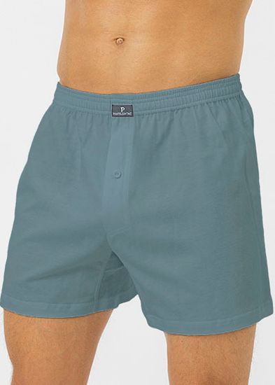 Трусы мужские семейные Pantelemone PMB-416, серо-зеленый