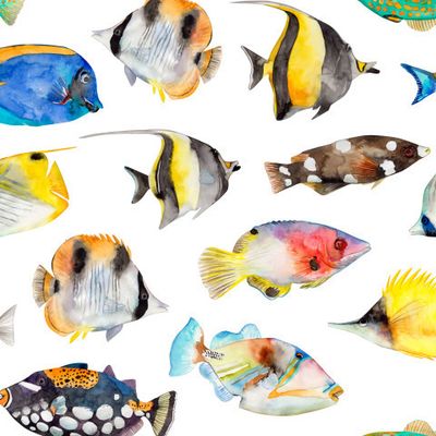 Экзотические рыбки