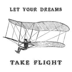 Print PewPewCat Let your dreams take flight черный