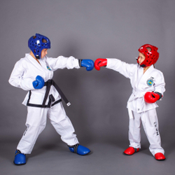 Перчатки ITF, GTF защитные ProfSport