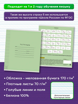 Набор тетрадей ТЕТРАДКИН, частая косая линия 5 мм, 12 л, цвет обложки - зелёный, 20 шт