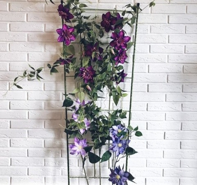 Шпалера для вьющихся растений "Лесенка"