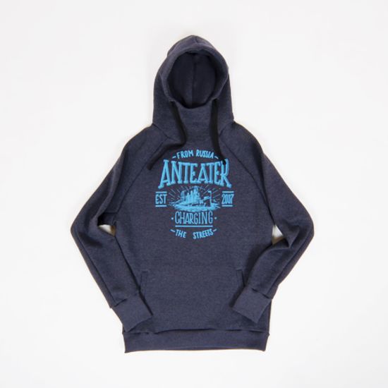 Толстовка Anteater hoodie AURORA