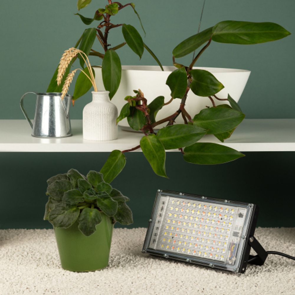 Фитопрожектор для растений светодиодный ЭРА FITO-80W-Ra90-LED-Y полного спектра