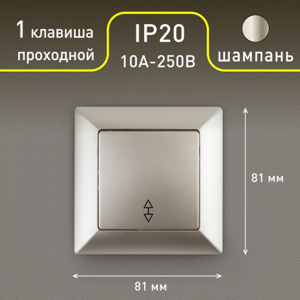 Переключатель Intro Solo 4-103-04 одноклавишный 10А-250В, IP20, СУ, шампань