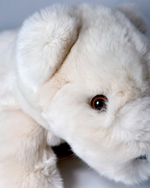 Медведь Умка (кремовый)