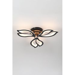 Светильник потолочный светодиодный Rivoli Lana 6195-703 LED 3000-6250К 60 Вт с пультом | Rivoli