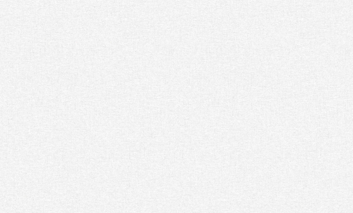 Erismann 60989-02 Basic Skandi