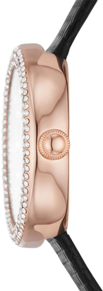 Женские наручные часы Emporio Armani AR11433