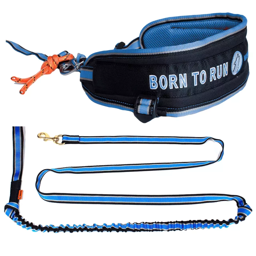 Пояс для каникросса в комплекте с потягом White Wolf серия Спорт