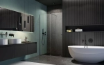 Душевая дверь Radaway Furo Brushed GunMetal DWJ 120 стекло прозраное/профиль брашированная оружейная сталь