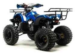 Квадроцикл Motoland 125 FOX