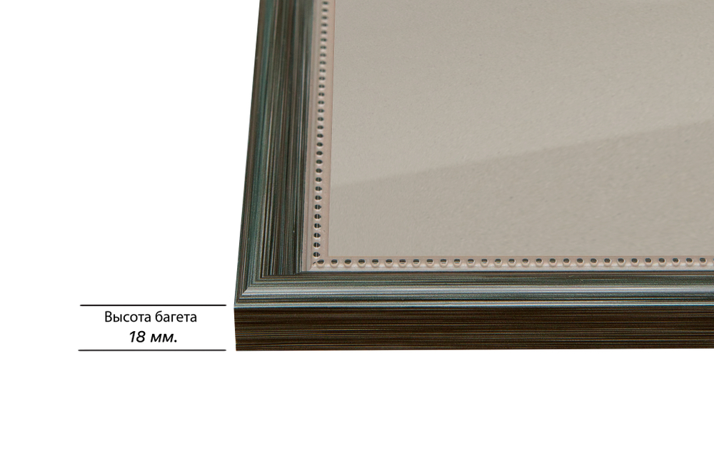 Рамка 45x90 для постера и фотографий RPS0880360-06