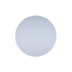 10002/48 White Потолочный светильник LOFT IT Axel