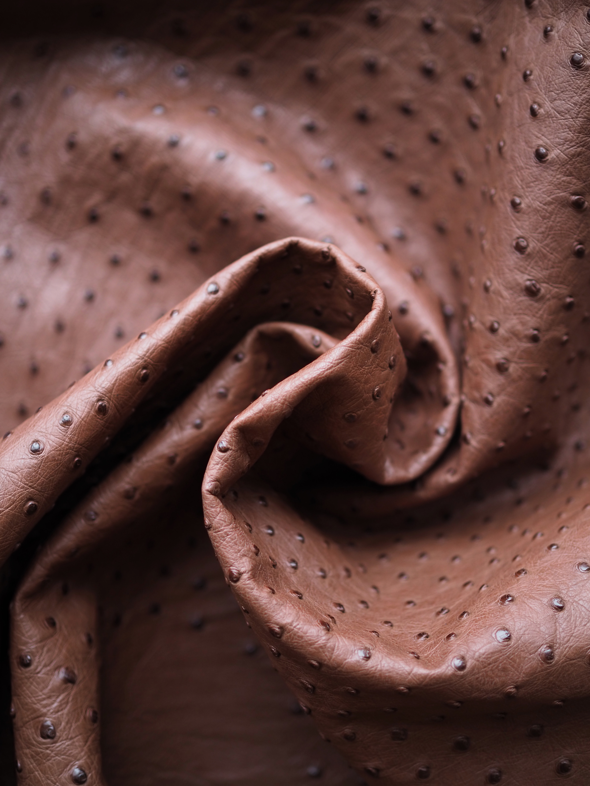 Fleur — «цветок» кожи