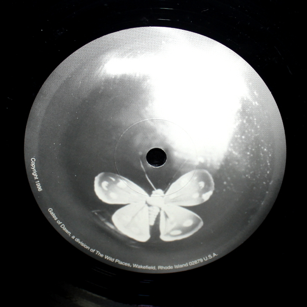 Anekdoten / Nucleus (LP)