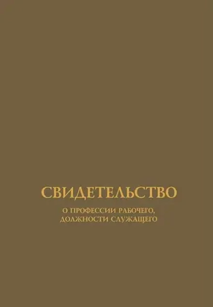 Профессиональное обучение