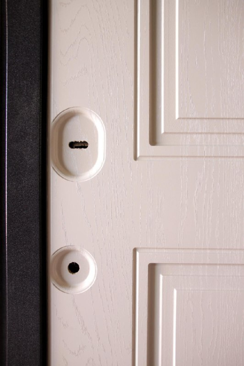 Дверь входная Мюнхен