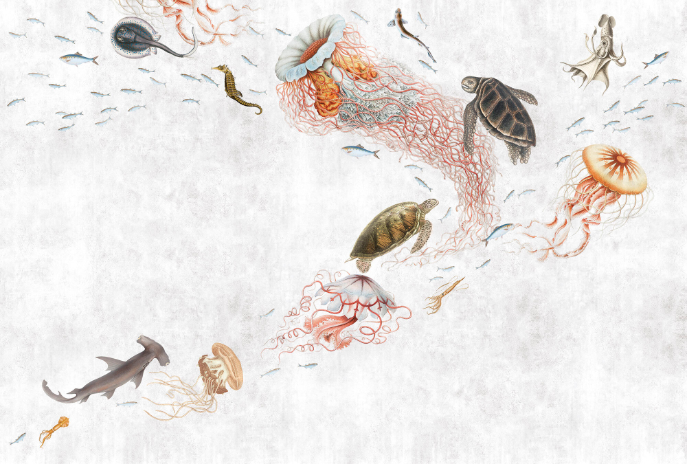 Коллекция Подводный мир