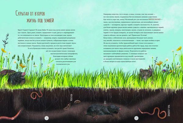 Дикий луг. Открываем многообразие мира, скрытого от нашего взора