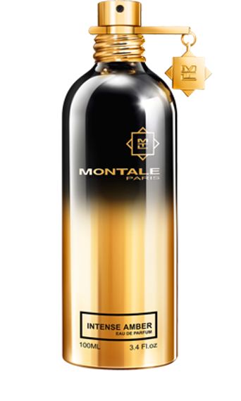 Montale Intense Amber