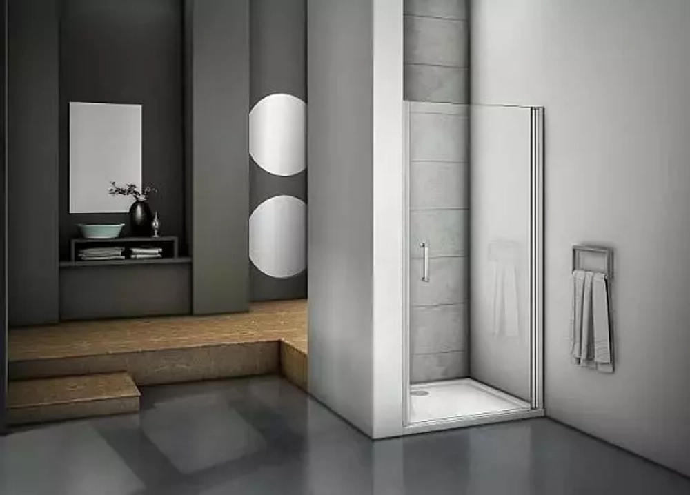 Душевая дверь в нишу Bas Mokka DR 100*185 без поддона, без магнитного профиля