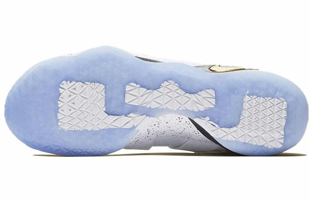Кроссовки Nike Zoom Soldier 11 Lebron Court General 11