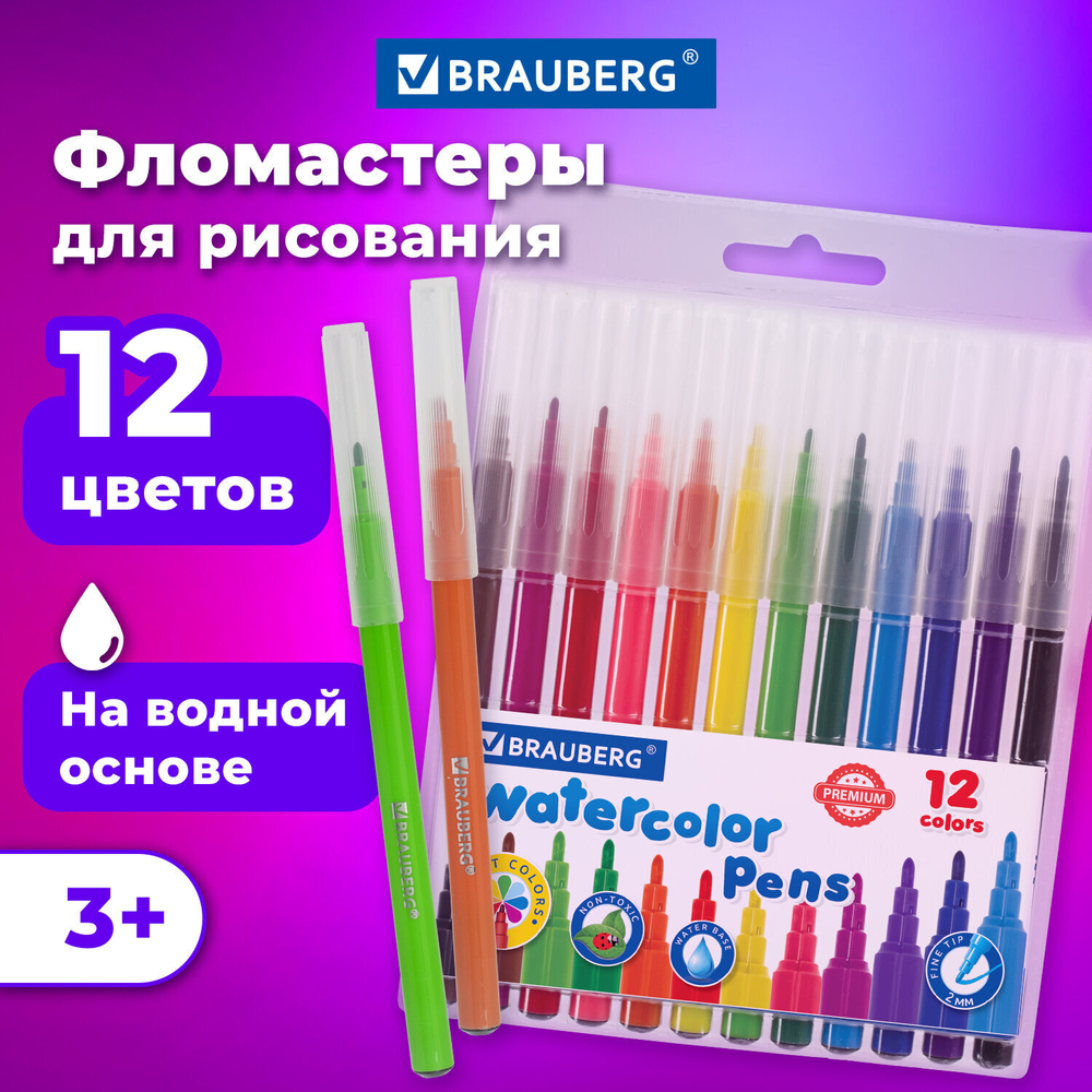 Фломастеры BRAUBERG "PREMIUM" 12 цветов классические вентилируемый колпачок ПВХ-упаковка с европодвесом (6 штук в упаковке)