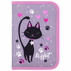 Penal \ Pencil case\ Пенал BRAUBERG, 1 отделение, 2 откидные планки, полиэстер, 21х14 см, 271514