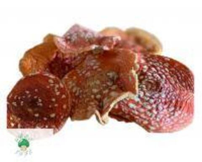 МУХОМОР КРАСНЫЙ СУШЕНЫЙ ЦЕЛЫЙ 100гр