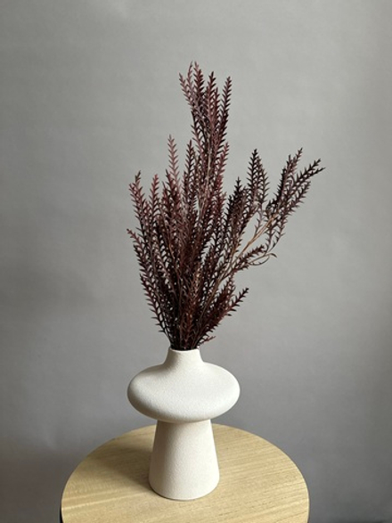 Иванхое оранжевое