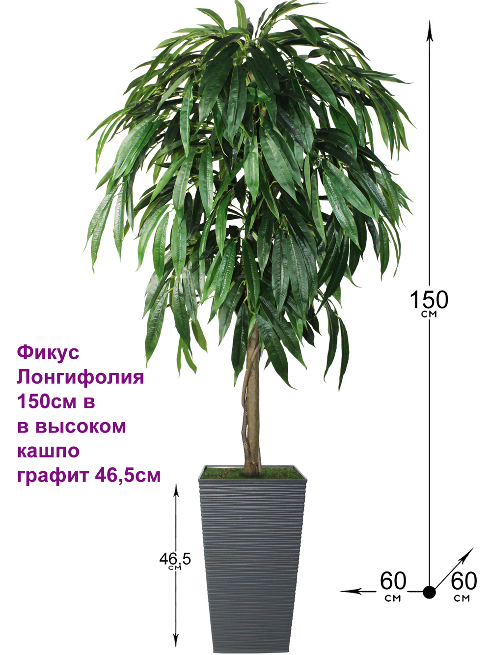 Искусственное дерево Фикус Лонгифолия 150 см в высоком кашпо графит 46 см