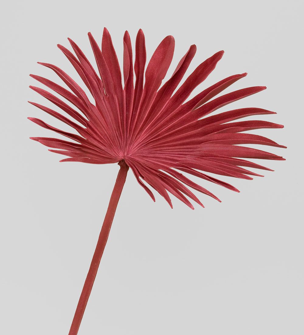 TR 610 Пальмовый лист