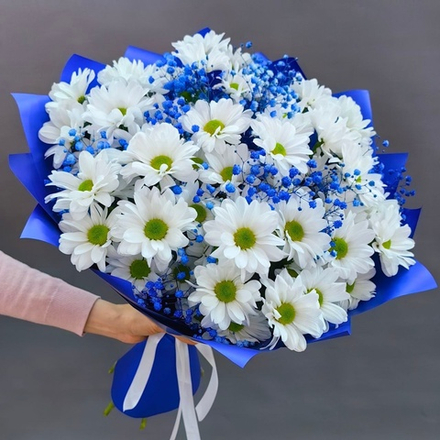 Букет из 7 кустовых хризантем сорта "KENNEDY WHITE" и синей гипсофилой
