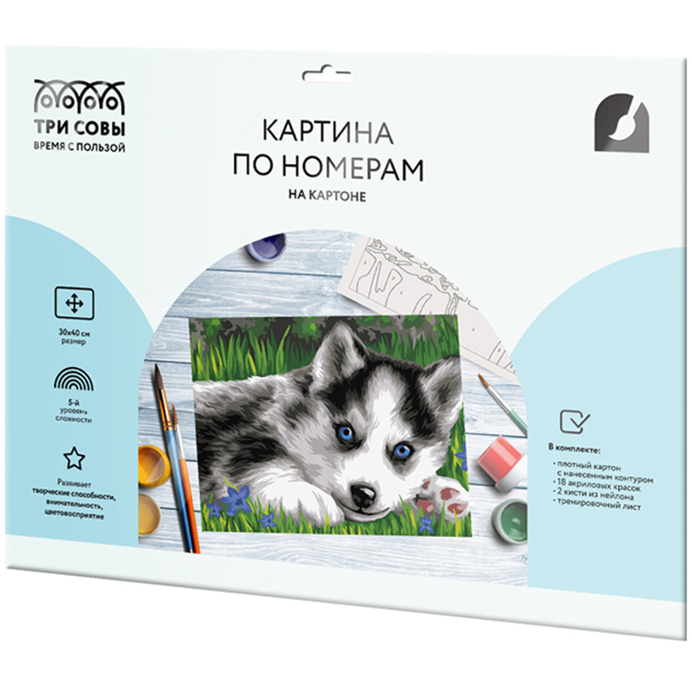 Картина по номерам на картоне "Голубоглазый пушистик", 30*40, с акриловыми красками и кистями, ТРИ СОВЫ