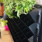 19.06. Вертикальное озеленение живыми растениями с помощью фитомодулей Hydro Falls. г.Новороссийск