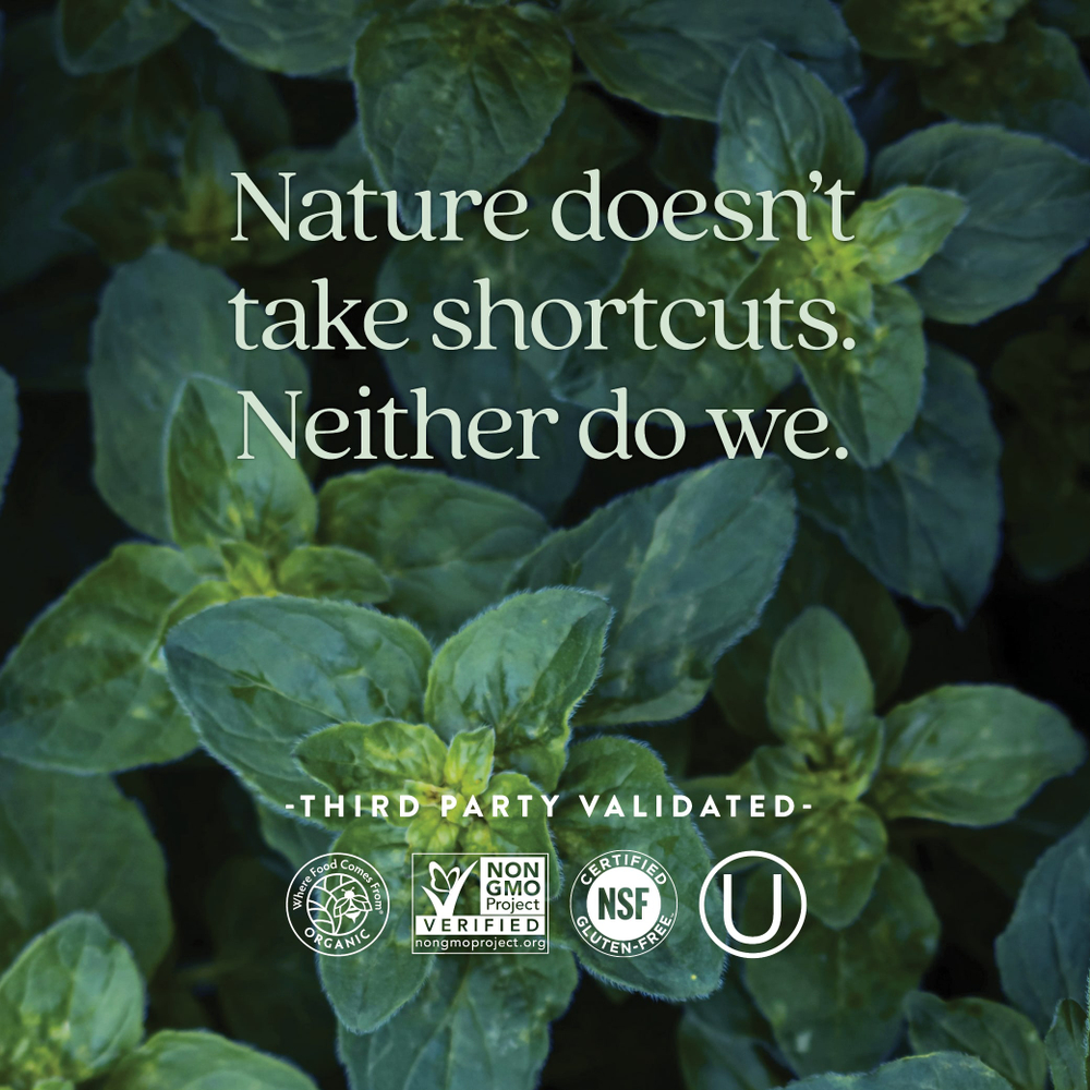 New Chapter, 40+ Every Man's One Daily Multi, мультивитамины для мужчин, 72 растительные таблетки