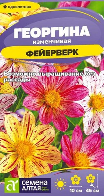 Георгина Фейерверк 0,1г Семена Алтая