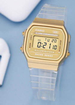 Часы Casio A168XESG-9A