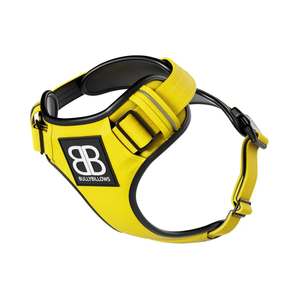 Шлейка Premium Dog Harness v2.0 BullyBillows