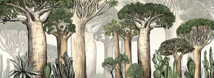 Фотообои Баобаб (Ширина 7,3 м)